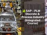 Sap Plm Discrete Process Integrated Bodht