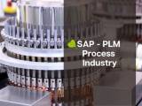 Sap Plm Process Industries Bodht