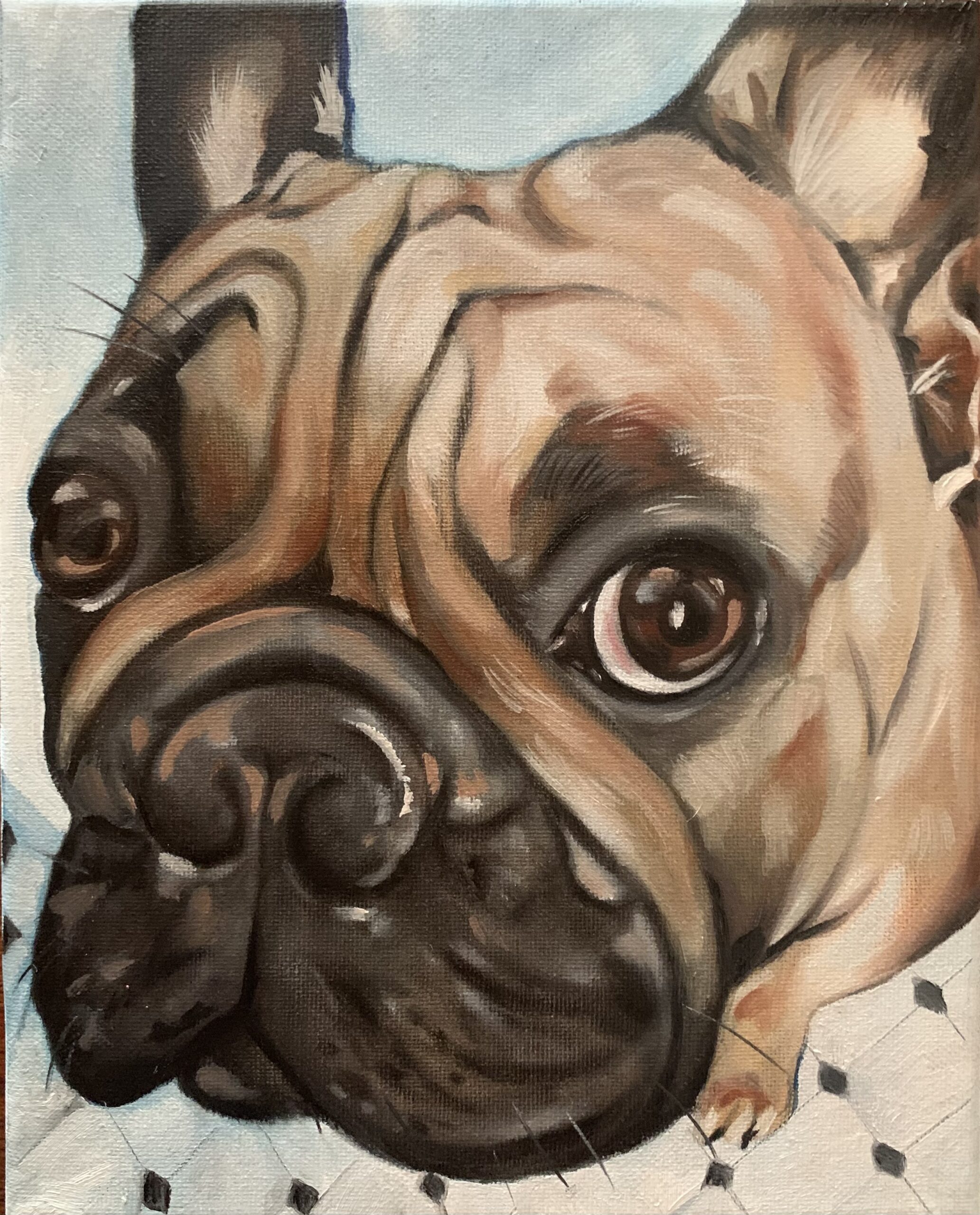 A pop portrait painting of a French Bulldog looking closely at the observer. Limited group of paintings available at Bodies Kneaded Massage Spa South Beach Miami Since 1996 www.BodiesKneaded.com 305.535.2424