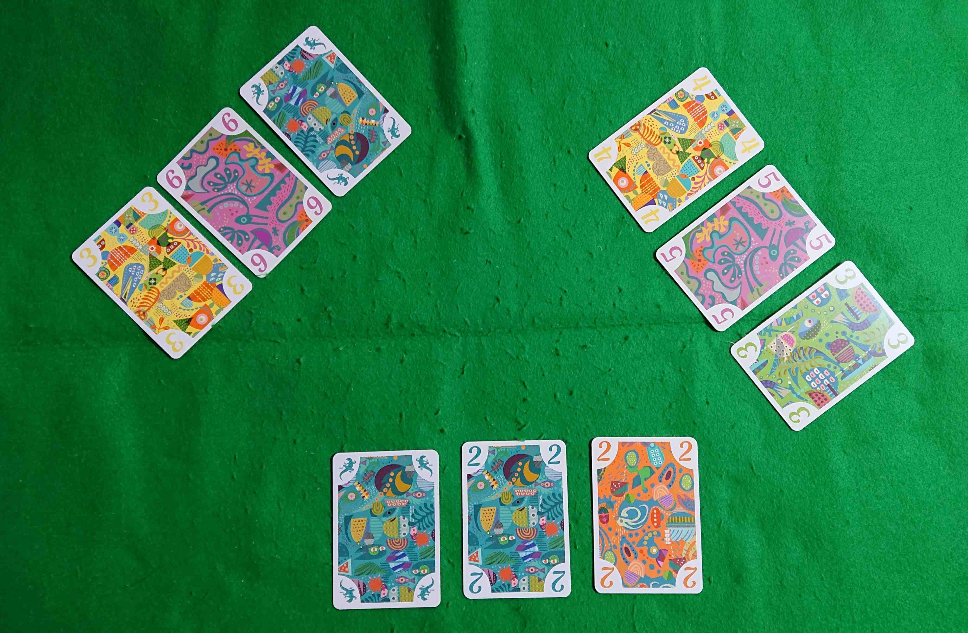 5211 ルール＆レビュー 色のマジョリティーを取ろう！ カード