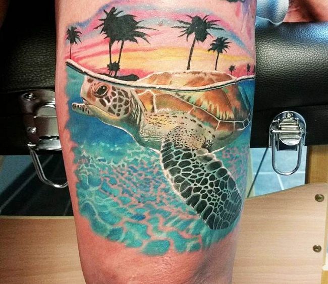 50+ Amazing Turtle Tattoos With Meaning - Body Art Guru 563_x_650_jpg
