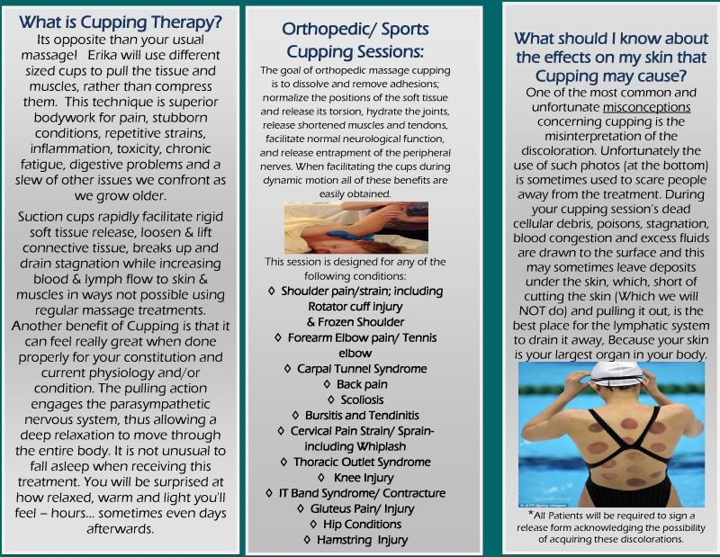 Body balance chiropractic, family wellness in fenton