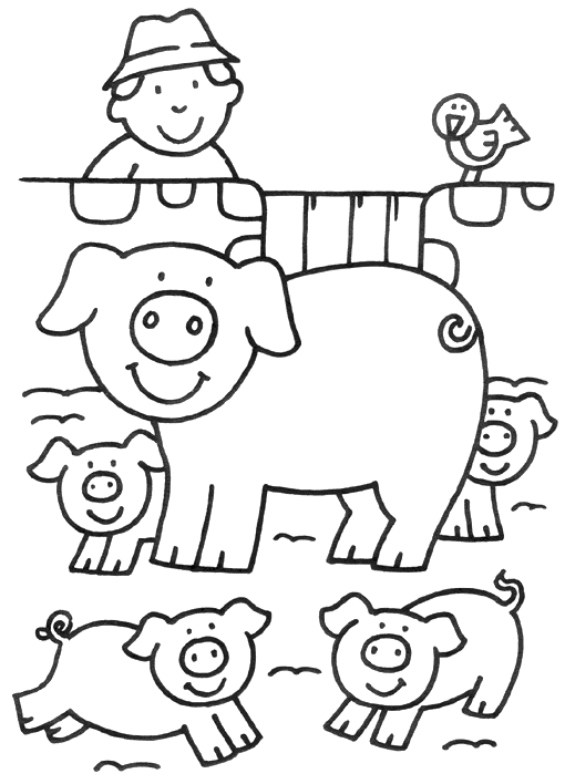 Varken Boerderijdieren