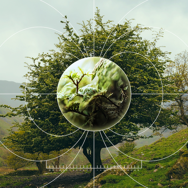 Videos from the NIMBioS Workshop on Information and Entropy in Biological Systems