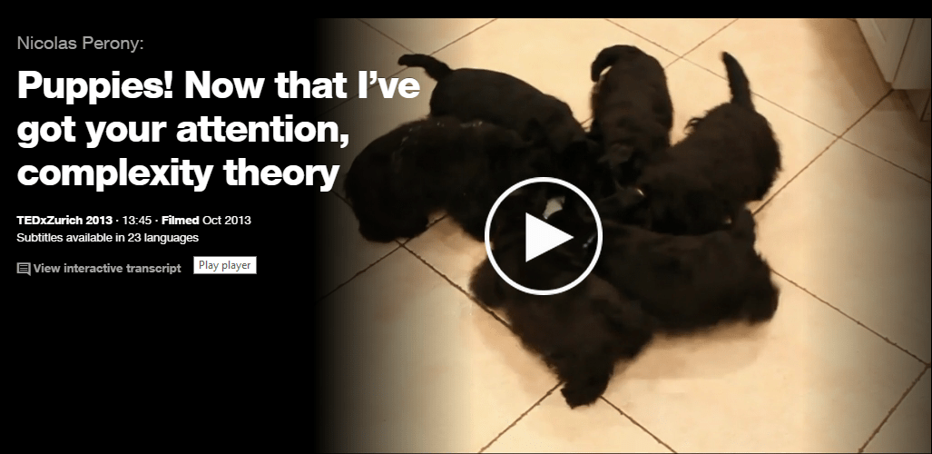 Nicolas Perony: Puppies! Now that I’ve got your attention, complexity theory | TED