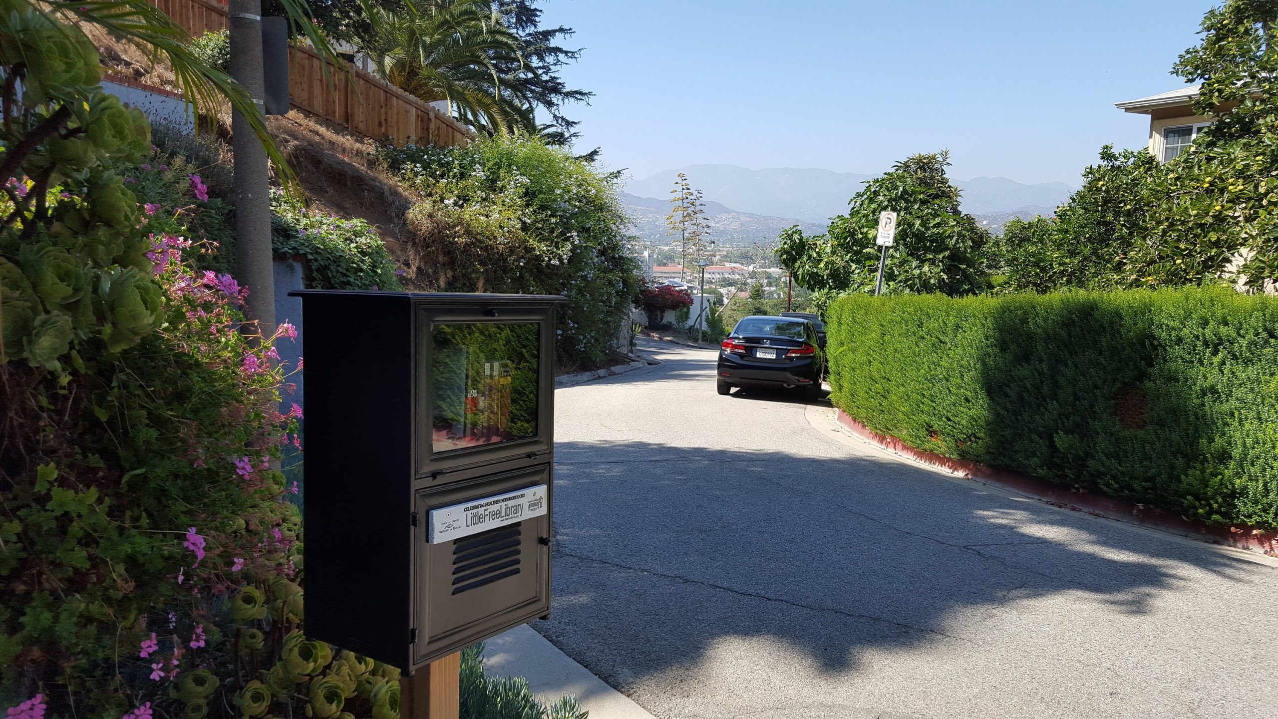 Little Free Library #8424 (Adams Hill Branch) Grand Opening