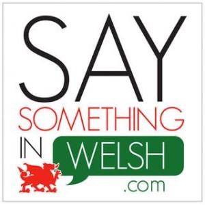 Logo for SaySomethingInWelsh.com featuring a red dragon with a green speech bubble containing the word Welsh