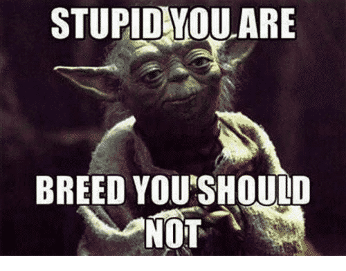 Band of Scrubs Community | BofSs | War Thunder | Squad and more!