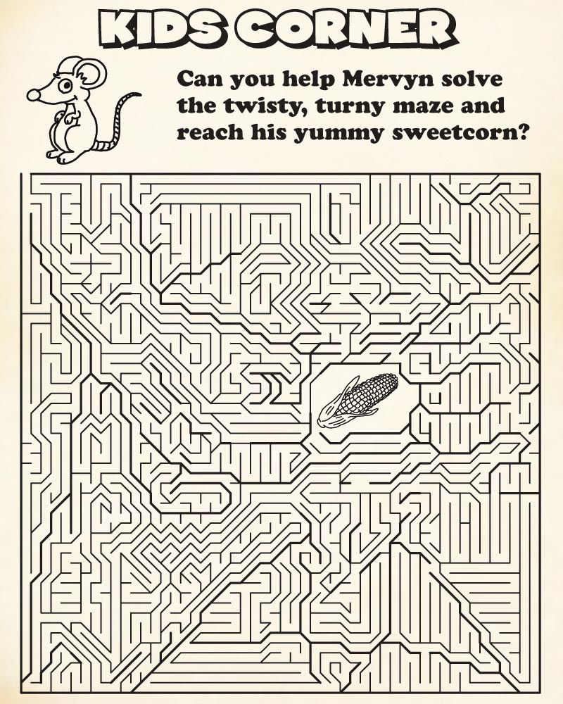 Solving this maze might be a bit of a stretch Boing Boing