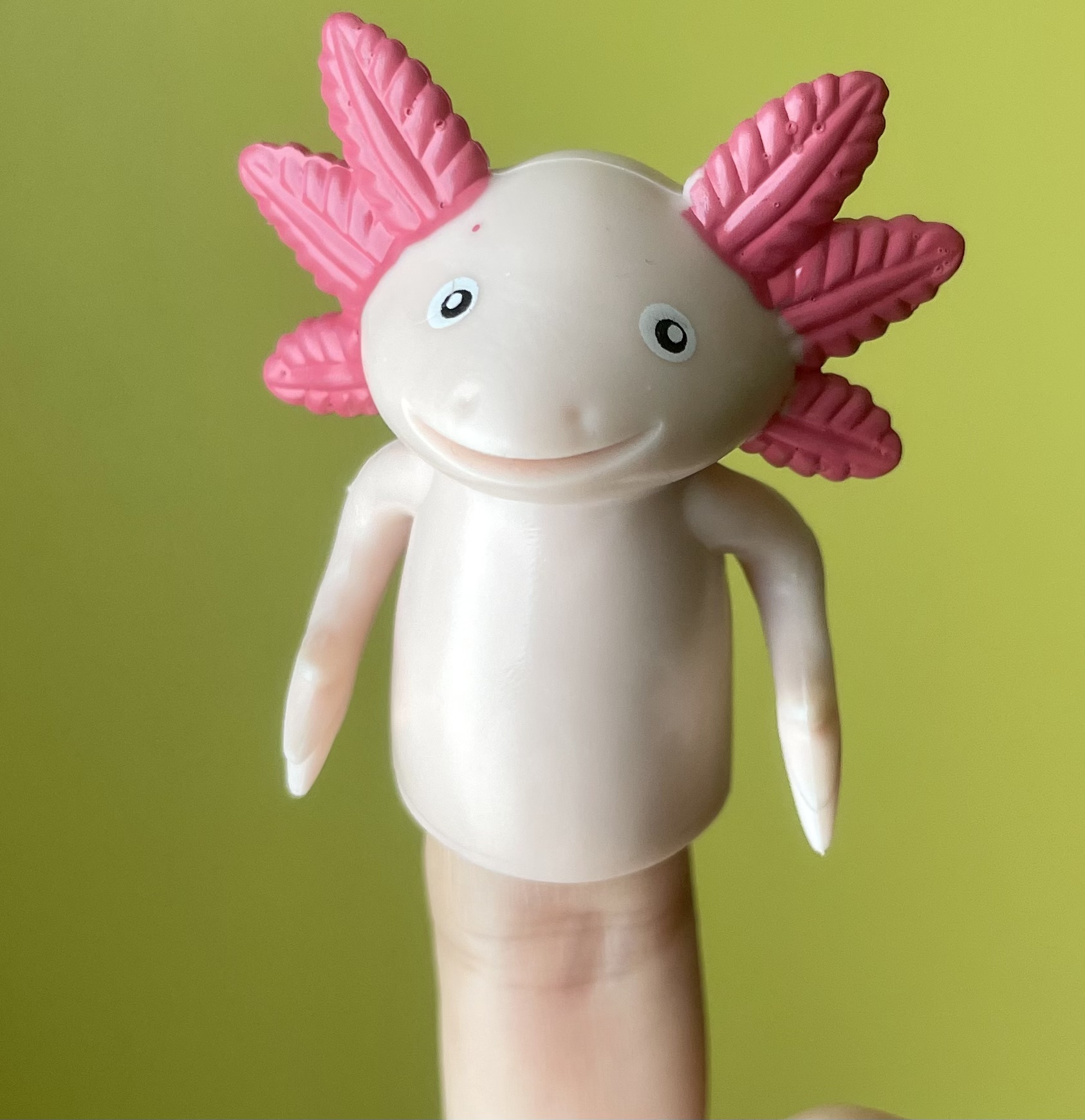 Axolotls are being abandoned in pet shelters Boing Boing