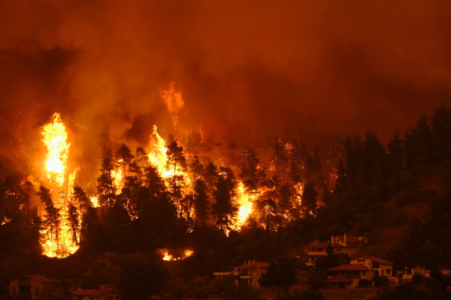 Image: Alexandros Michailidis / shutterstock.com
