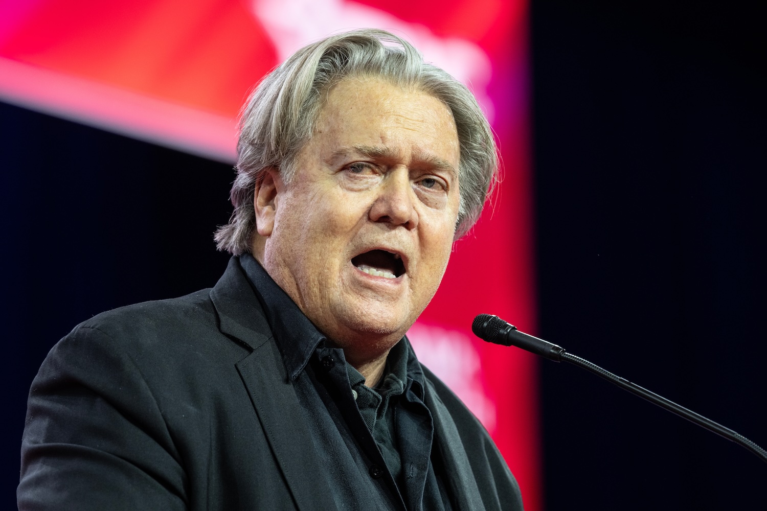 Image: Steve Bannon; lev radin / shutterstock.com