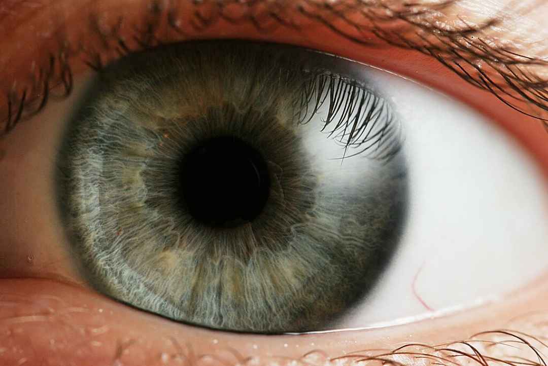 No hay gafas. Parece que tus ojos la magia parece 3d maya No hay gafas. Parece que tus ojos la magia parece 3d maya