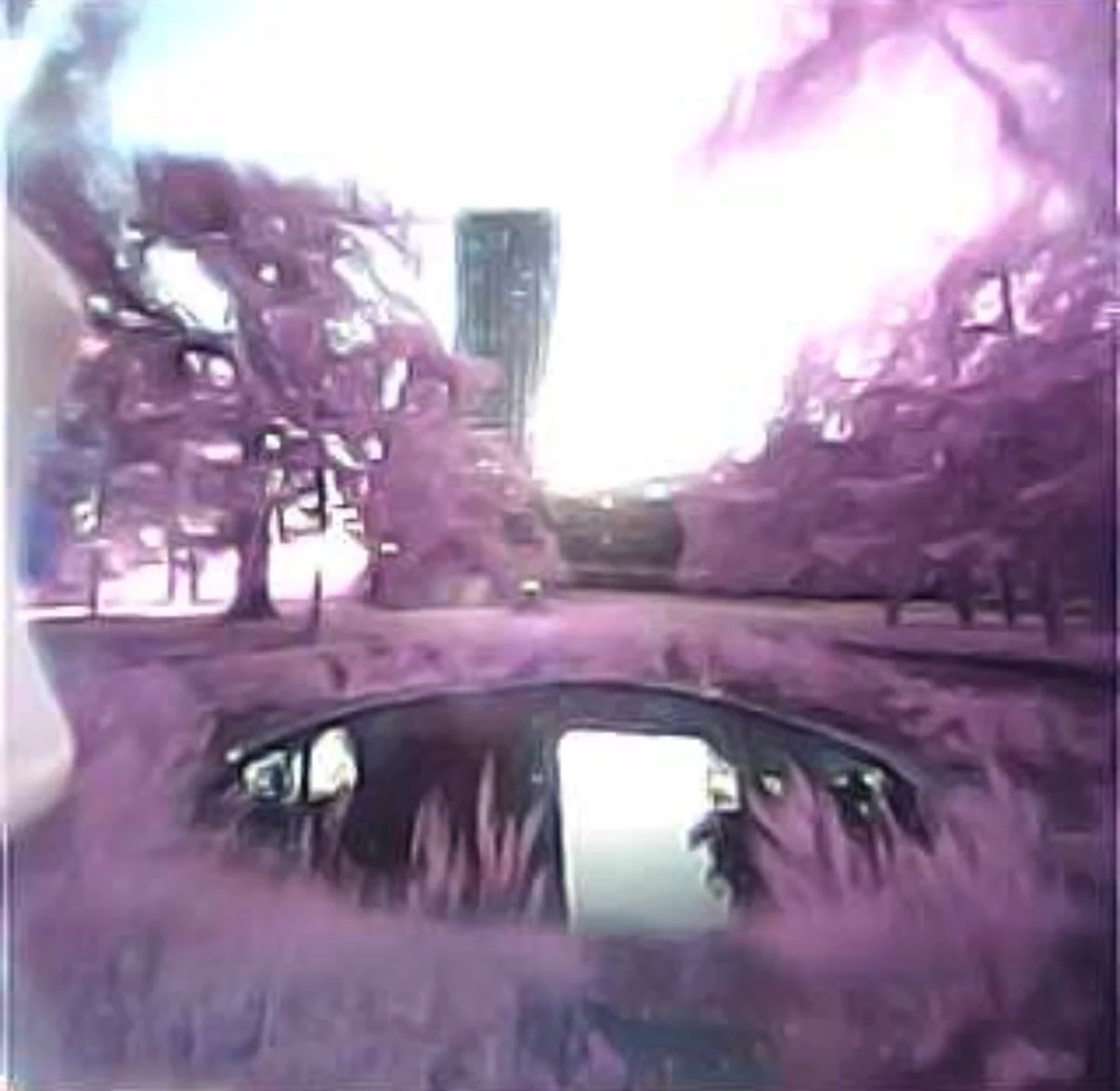boingboing.net - Rob Beschizza - Street photography with Dyson's CameraJet toothbrush