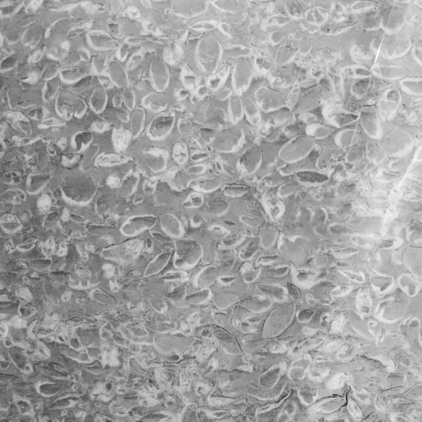 Fossil Grey Bolder Panel