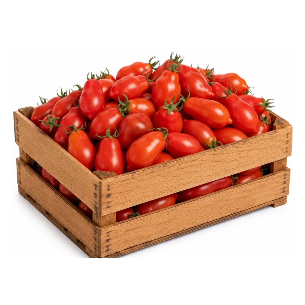 Tomate perita — Mayorista