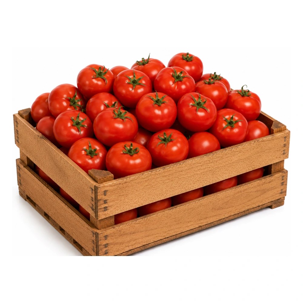 Tomate redondo — Mayorista