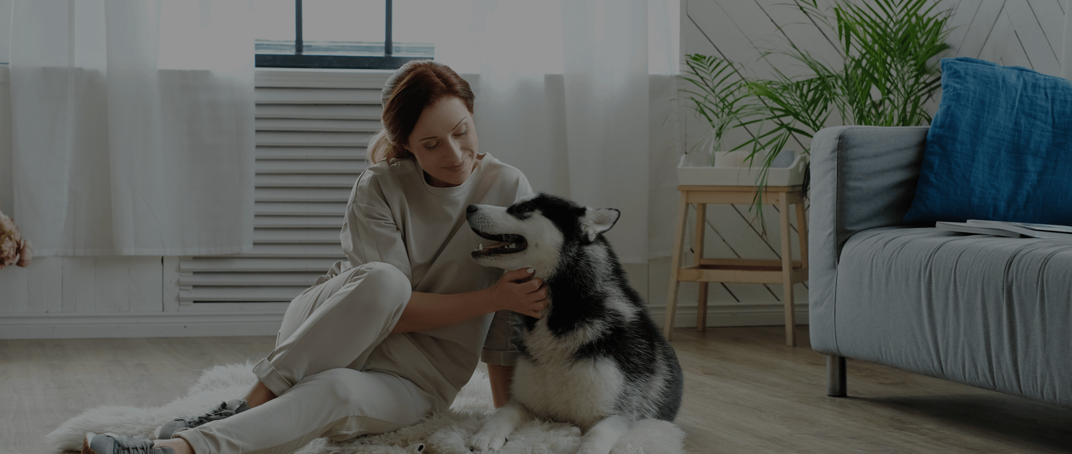 A Stress-Free Learning Environment with Private In-Home Dog Training