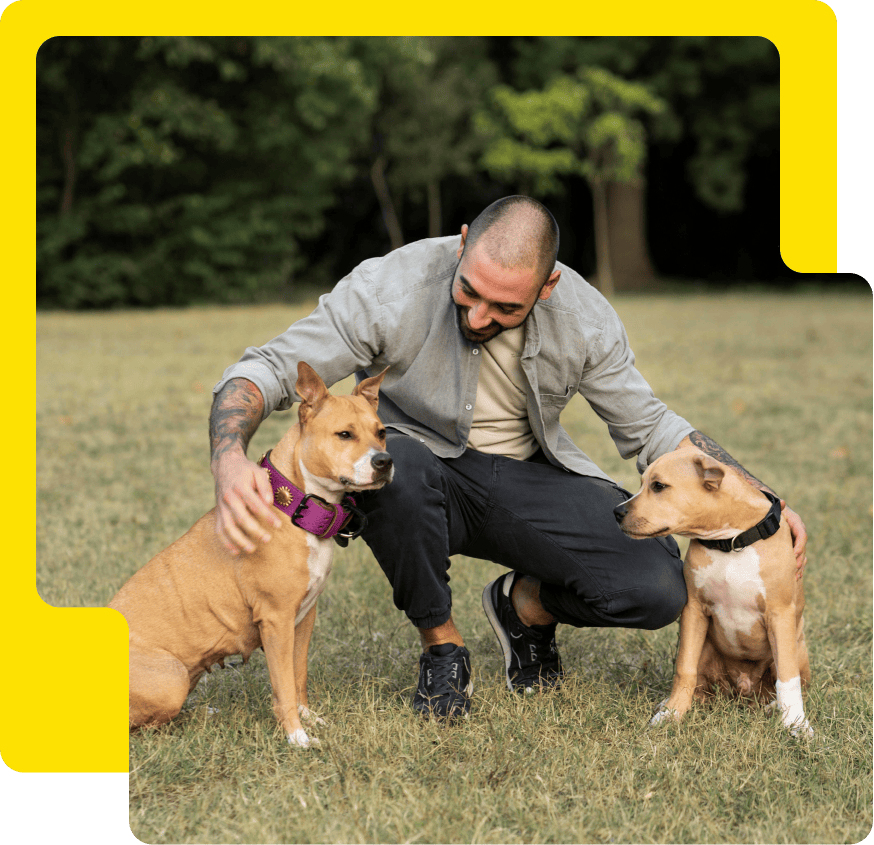 Group Dog Training Curriculum​