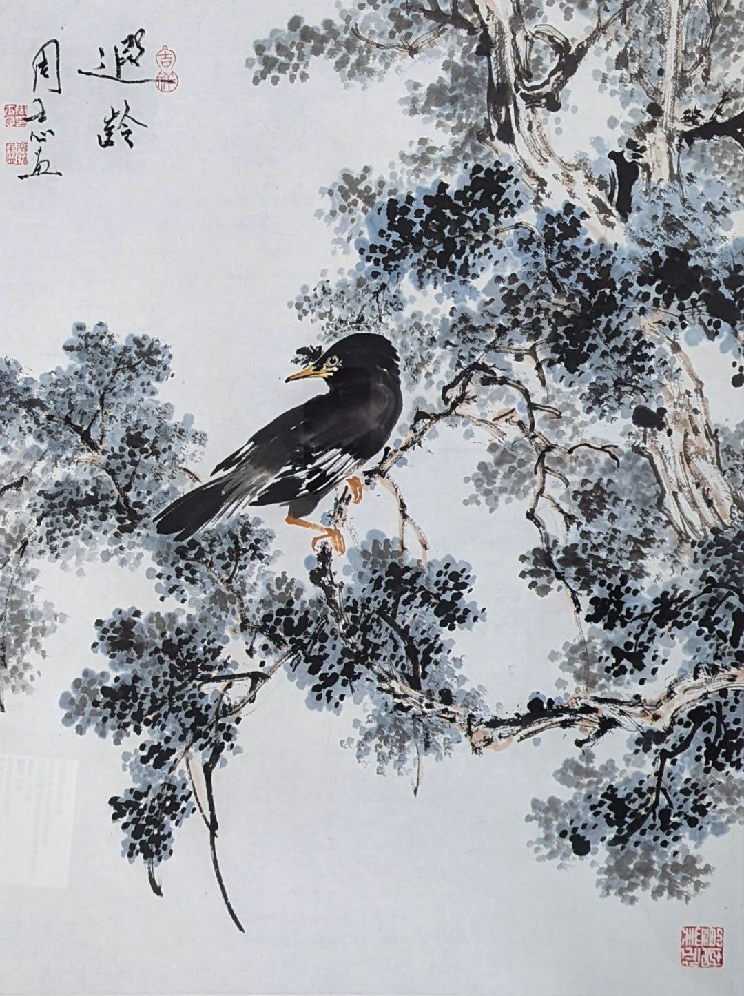 周士心教授 – 真正的藝術大師