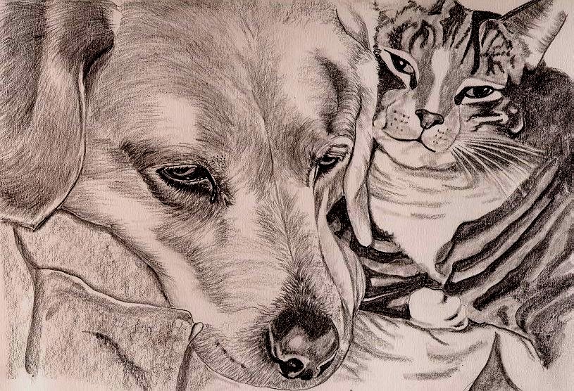 Best Friends