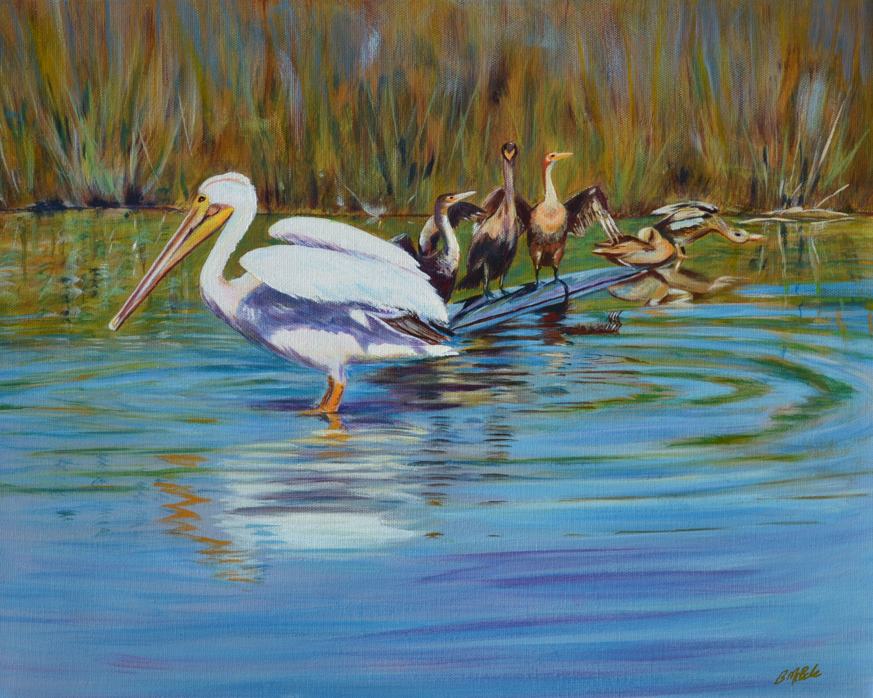 Pelly-King