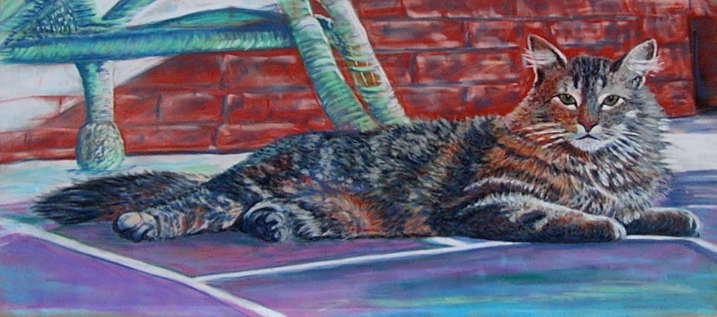 Maincoon