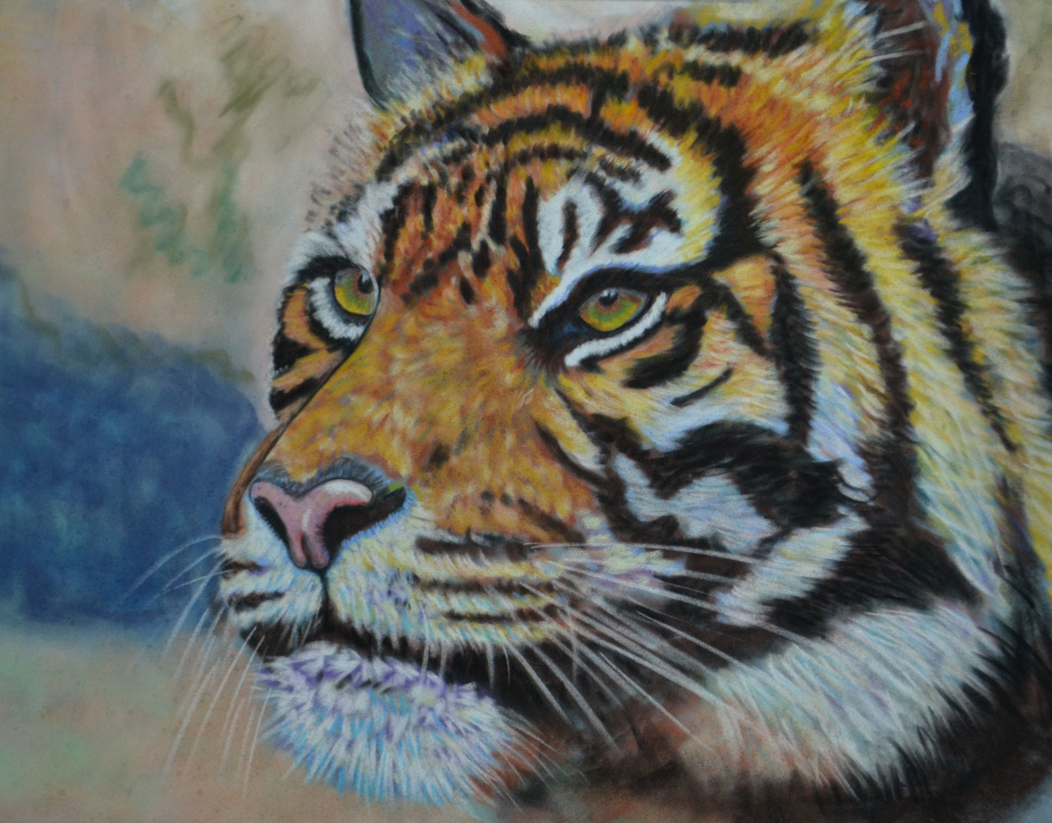 Bengal