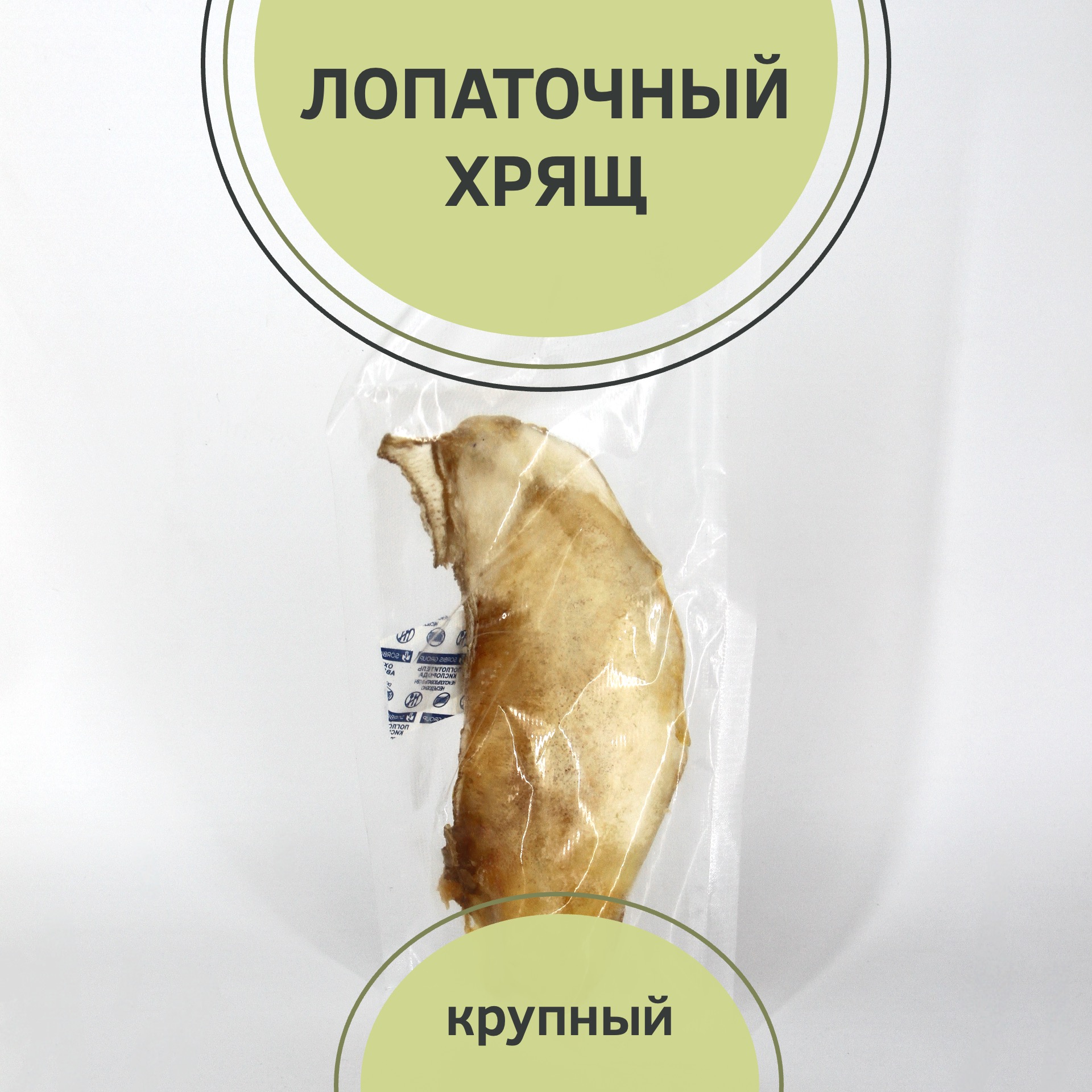 Главная