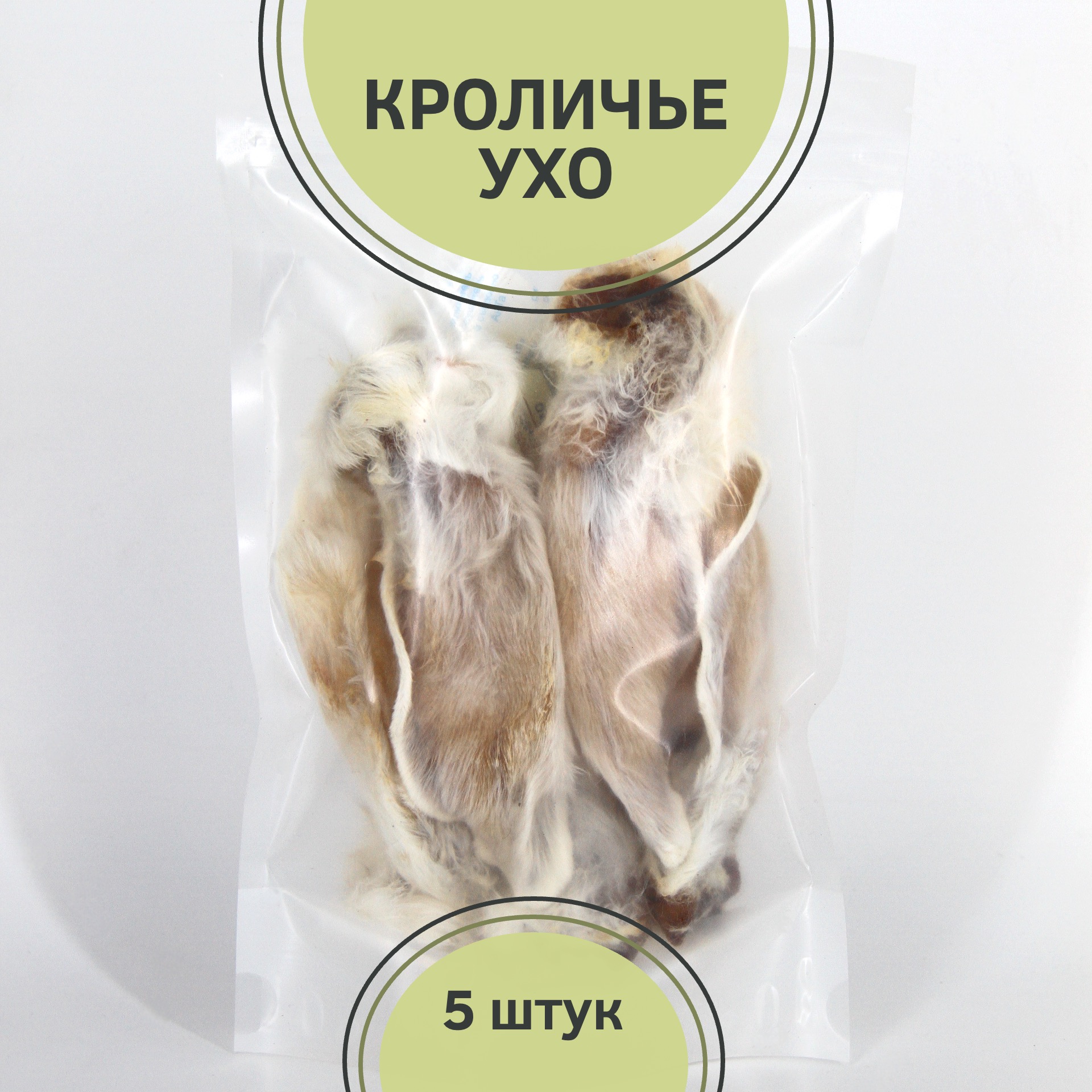 Главная