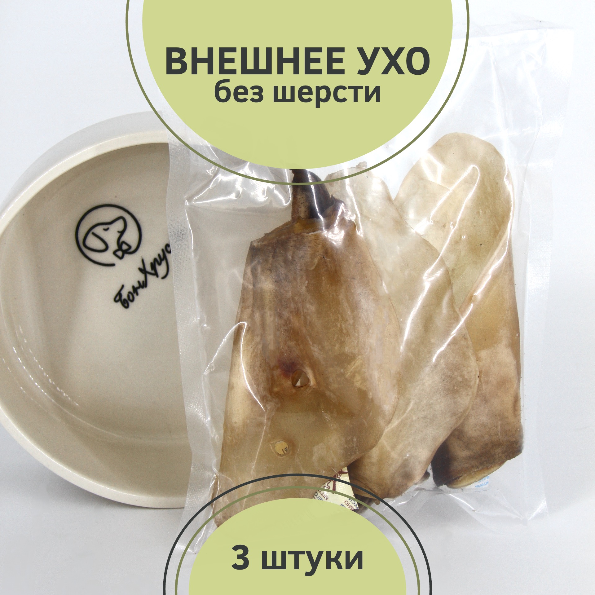 Главная