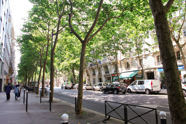 Eight best places to eat in paris now. Paris Property: 3-Bedroom Apartment for Sale in the 7th