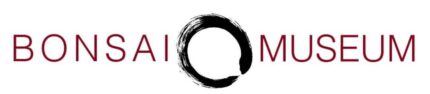 bonsaimuseumLOGO2