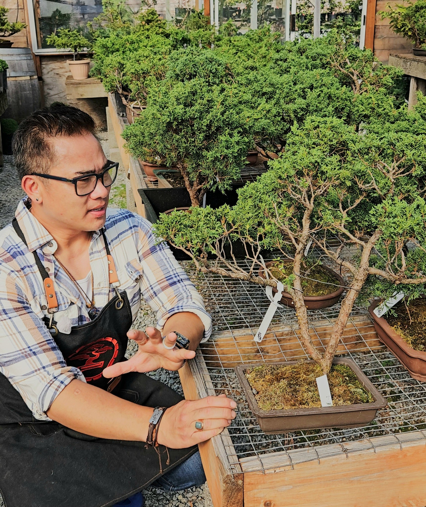 Online Zoom Bonsai One on One