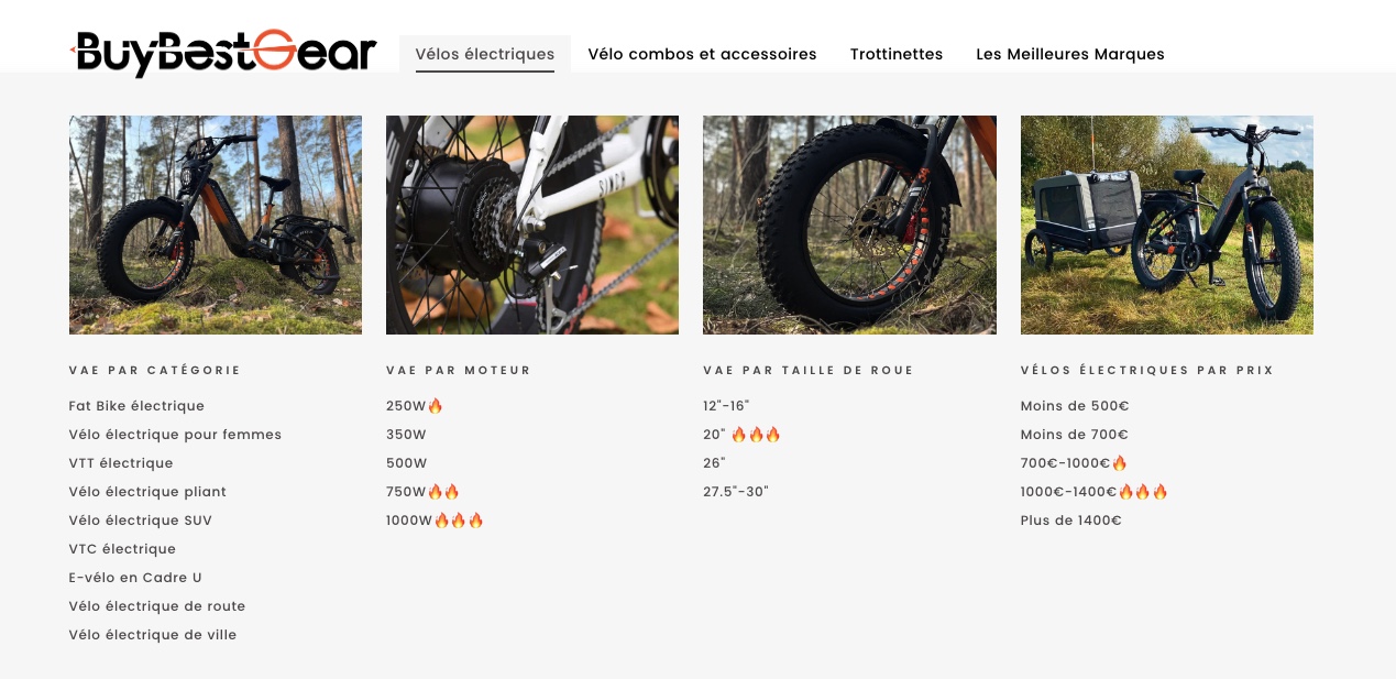 Les vélos électriques BuyBestGear