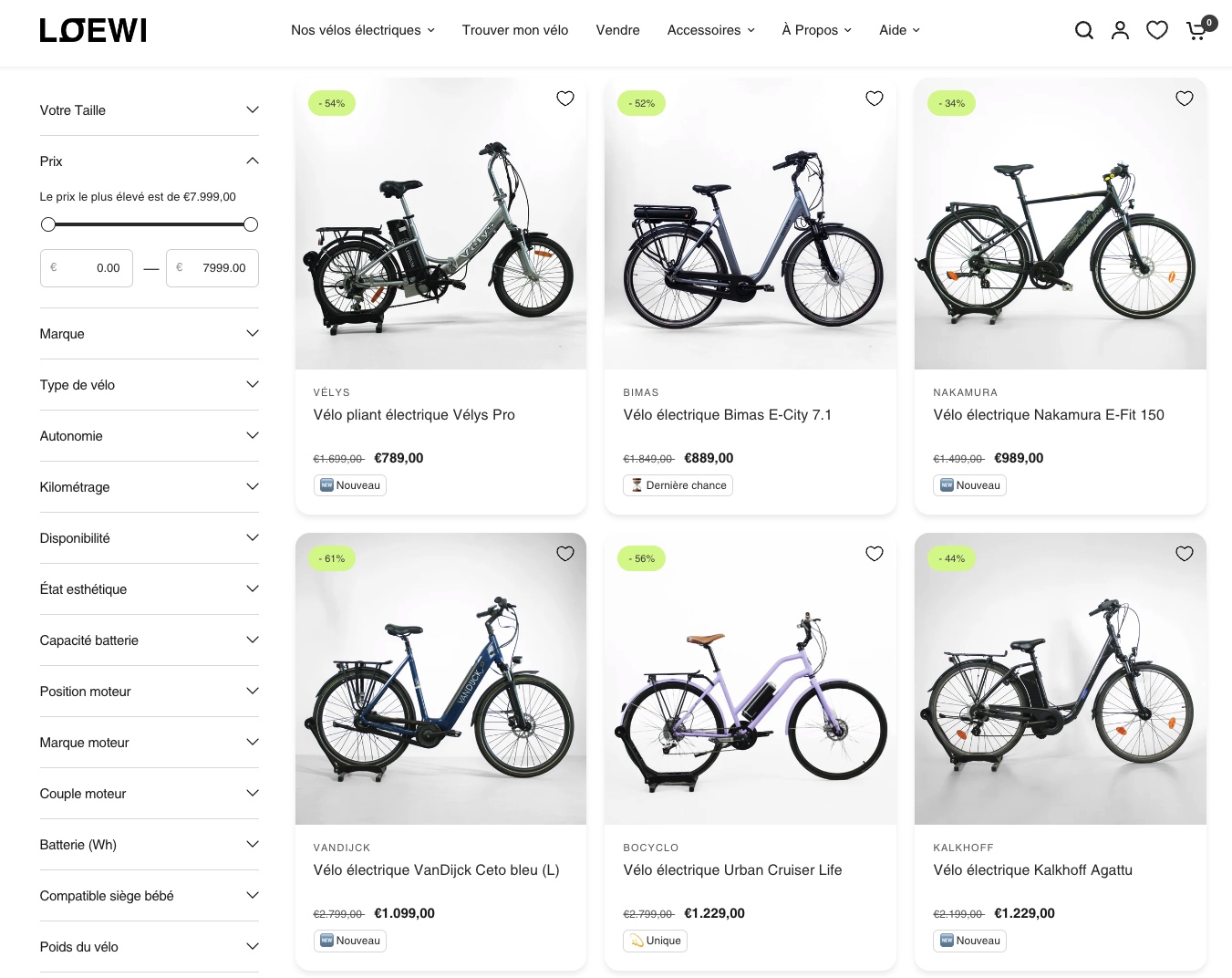 The best brands of refurbished electric bikes at Loewi
