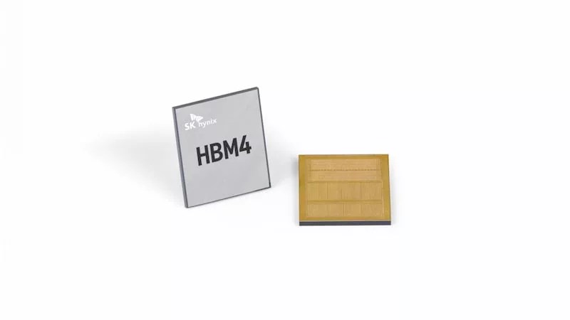 Two SK Hynix HBM4 memory chips are shown; one chip displays the label “HBM4” while the other is flipped to reveal its gold connector side, highlighting advanced packaging. Both are set on a plain white background.