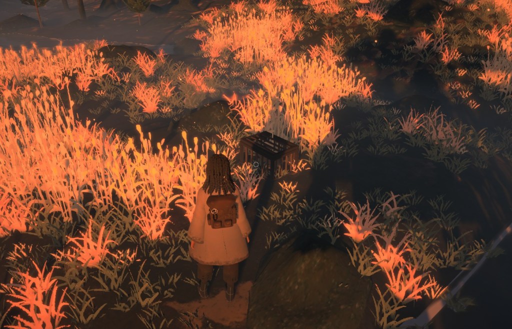 Trapped Rabbit Reka