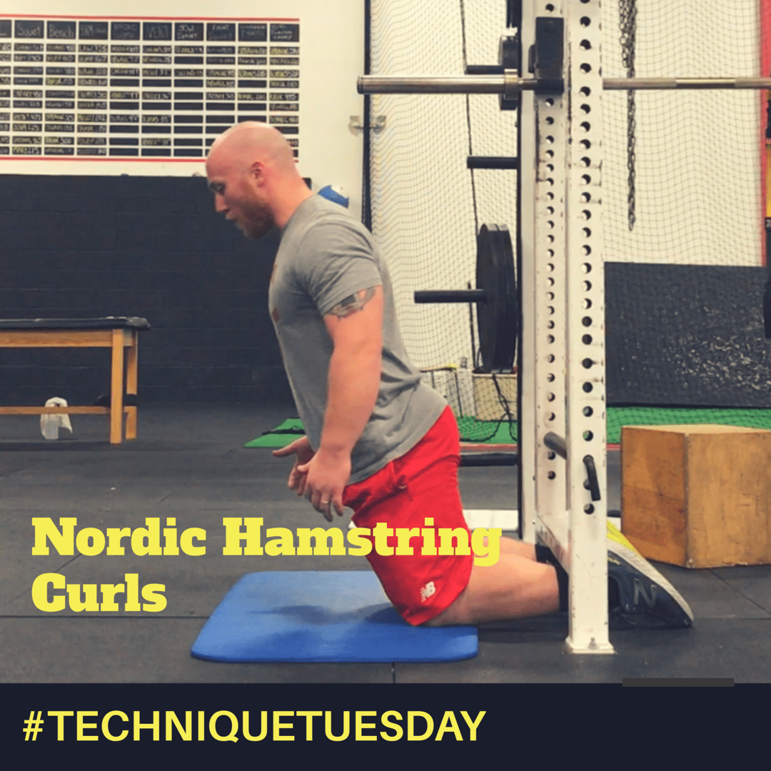 nordic hamstring curls