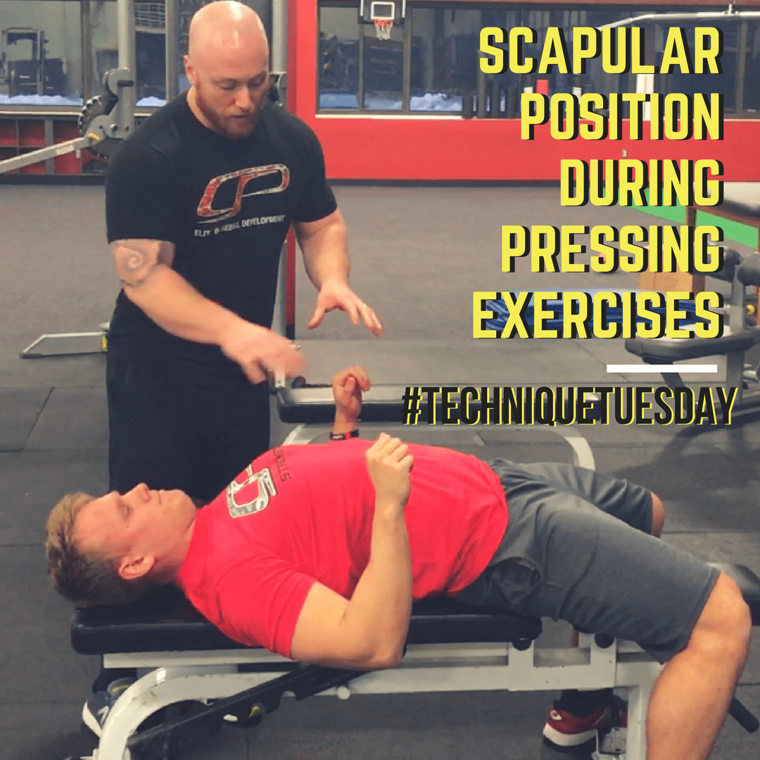 scapular position