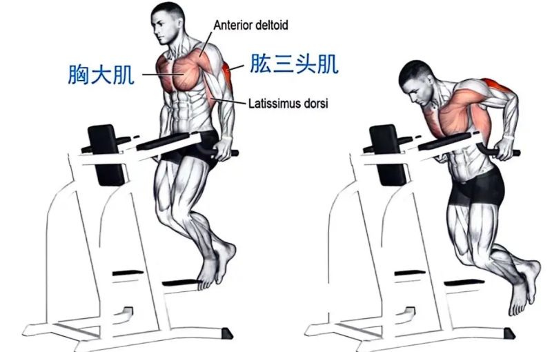 Github Boobyuuuu Lessons - Artistic Light Pattern - Full HD