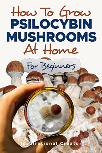 How to grow mushrooms at home