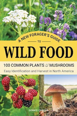 Wild food by dennis carson