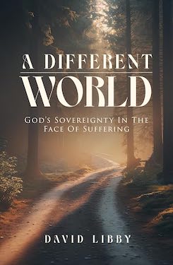 A different world by David Libby