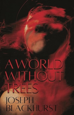 Book Cover: A World Without Trees by Joseph Blackhurst