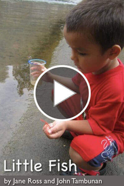 They'll type it in, click go and then they'll be added to your library. Book Creator Bring Creativity To Your Classroom Book Creator App