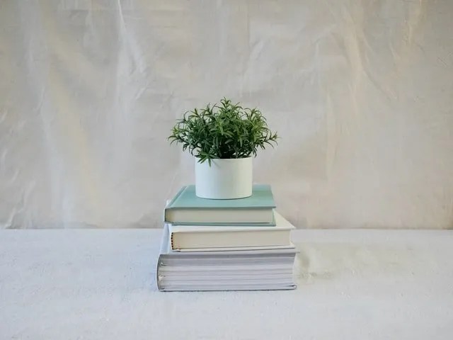 Book Reviews for May 2022