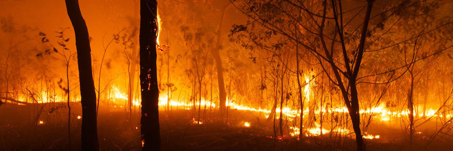 An Australian bushfire of the kind that forms the background to Ash Mountain, a novel by Helen Fitzgerald