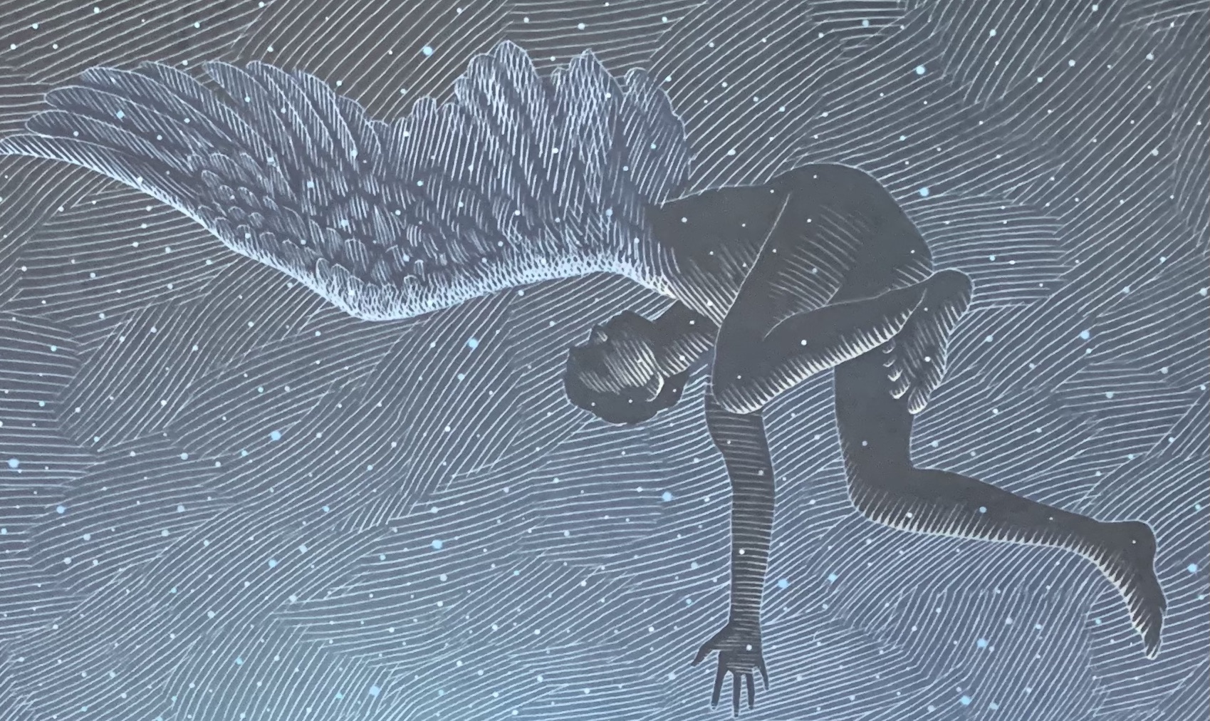 A New, Beautifully Understated Holiday Fable: A WILD WINTER SWAN