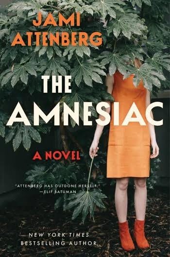 Cover of The Amnesiac by Jami Attenberg